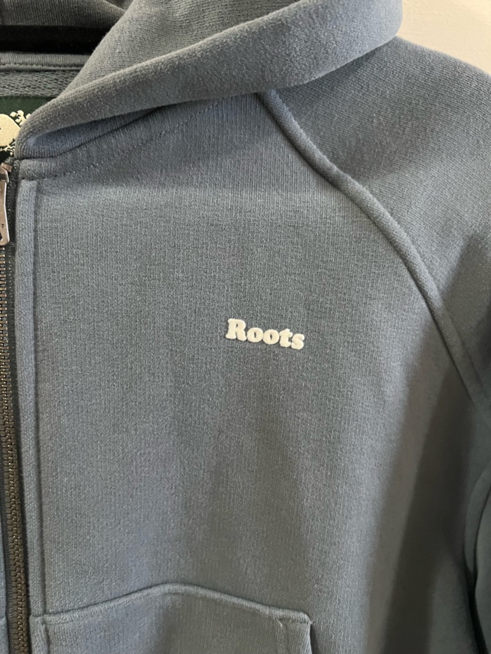 Roots Cropped Cloud Hoodie - Picture 3 of 5